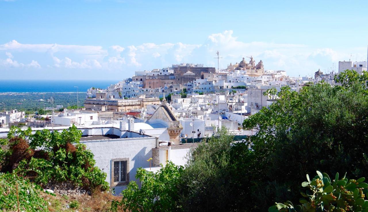 Terrazza Sul Mare Apartment Villanova di Ostuni Ngoại thất bức ảnh